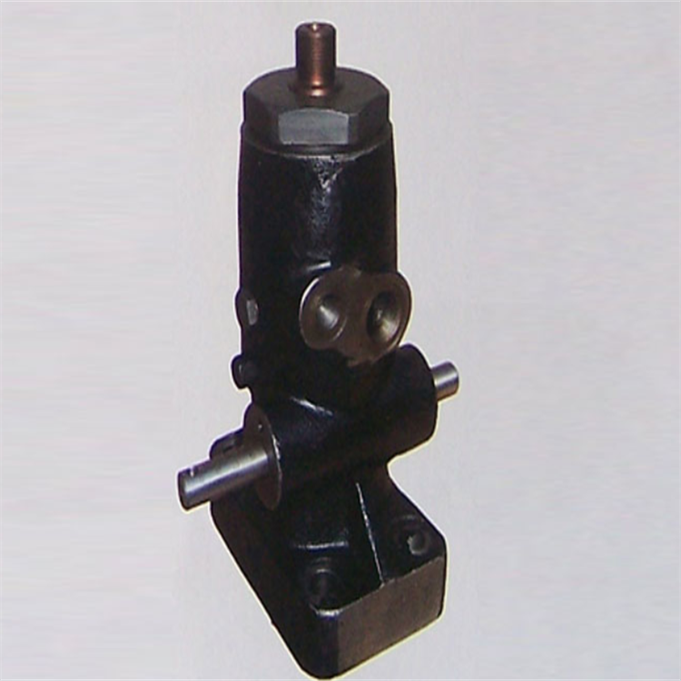 Revisione della pompa di iniezione